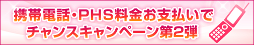 �g�ѓd�b�EPHS�������x�����Ń`�����X�L�����y�[����2�e
