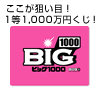 �������_���ځI1��1,000���~����