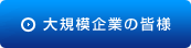 大規模企業の皆様