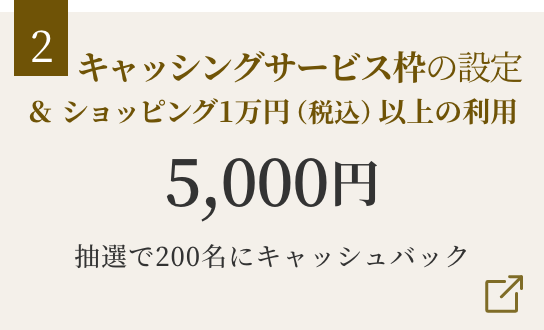 キャッシングサービス枠の設定&ショッピング1万円（税込）以上の利用 5,000円