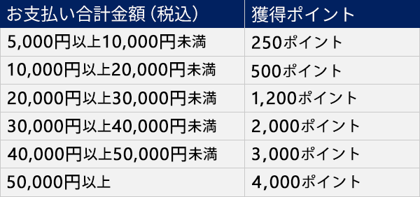 お支払い合計金額（税込）が5,000円以上10,000円未満で250ポイント獲得。10,000円以上20,000円未満で500ポイント獲得。20,000円以上30,000円未満で1,200ポイント獲得。30,000円以上40,000円未満で2,000ポイント獲得。40,000円以上50,000円未満で3,000ポイント獲得。50,000円以上で4,000ポイント獲得。