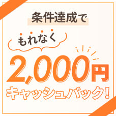 キャッシングリボでもれなく3,000円キャッシュバック！