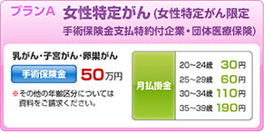 選べる保険 お守リンダ