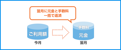 1回払い説明図（案）