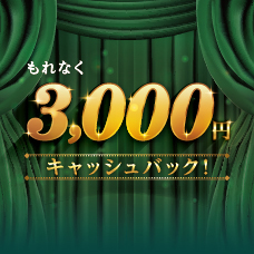 キャッシングリボ払いでもれなく3,000円キャッシュバックキャンペーン