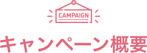 �L�����y�[���T�v