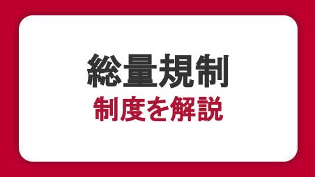 総量規制とは？対象外となる借り入れ方法や審査の仕組み