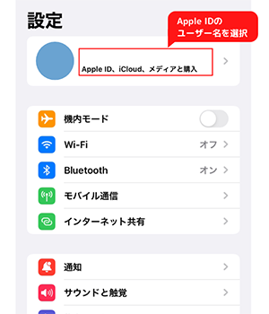 Apple IDのユーザー名を選択