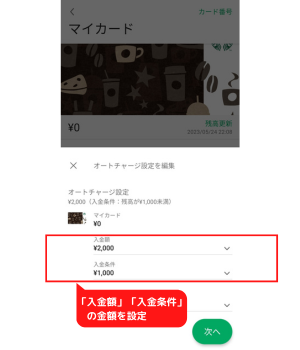 手順4：入金額・入金条件の金額を設定
