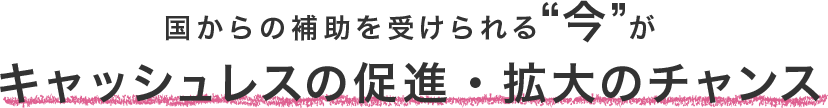 国からの補助を受けられる “今” がキャッシュレスの促進・拡大のチャンス