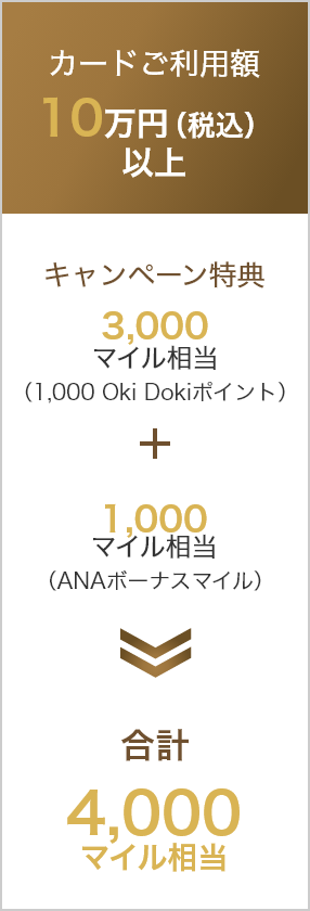 10万円(税込)以上 3,000マイル相当(Oki Dokiポイント1,000ポイント) 1,000マイル(ANAボーナスマイル) 4,000マイル相当