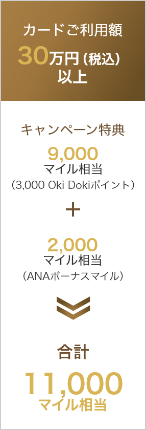 30万円(税込)以上 9,000マイル相当(Oki Dokiポイント3,000ポイント) 2,000マイル(ANAボーナスマイル) 11,000マイル相当