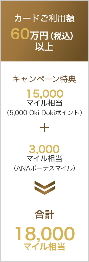 60万円(税込)以上 15,000マイル相当(Oki Dokiポイント5,000ポイント) 3,000マイル(ANAボーナスマイル) 18,000マイル相当