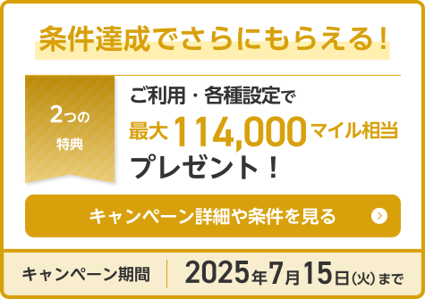 条件達成でさらにもらえる！ご利用・ご搭乗・各種ご入会で最大140,000マイル相当プレゼント！キャンペーン詳細や条件を見る キャンペーン期間2024年6月30日（日）まで