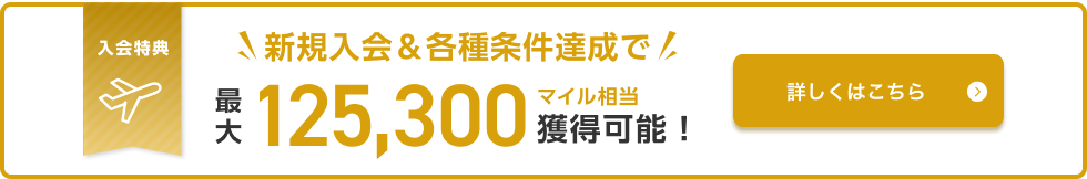 入会特典 新規入会&各種条件達成で最大125,300マイル相当獲得可能！ 詳しくはこちら