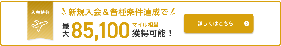 入会特典 新規入会&各種条件達成で最大85,100マイル相当獲得可能！詳しくはこちら