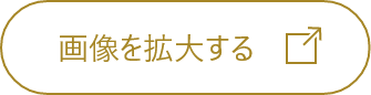 画像を拡大する