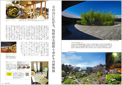 6月号の表紙
