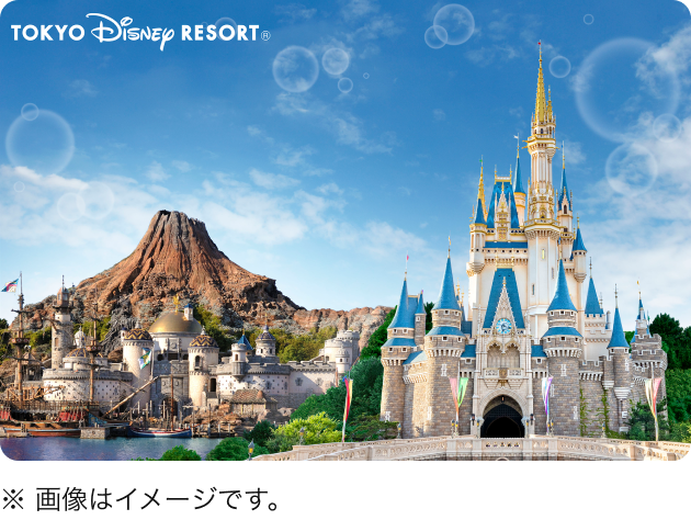 Tokyo Disneyland Tokyo Disney SEA ※画像はイメージです。