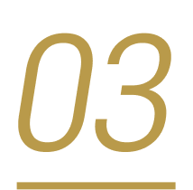 03