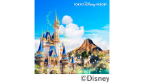 東京ディズニーリゾートパークチケット