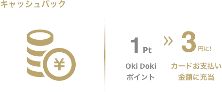 キャッシュバック Oki Doki ポイント1pt → お支払い金額に充当 3円に！