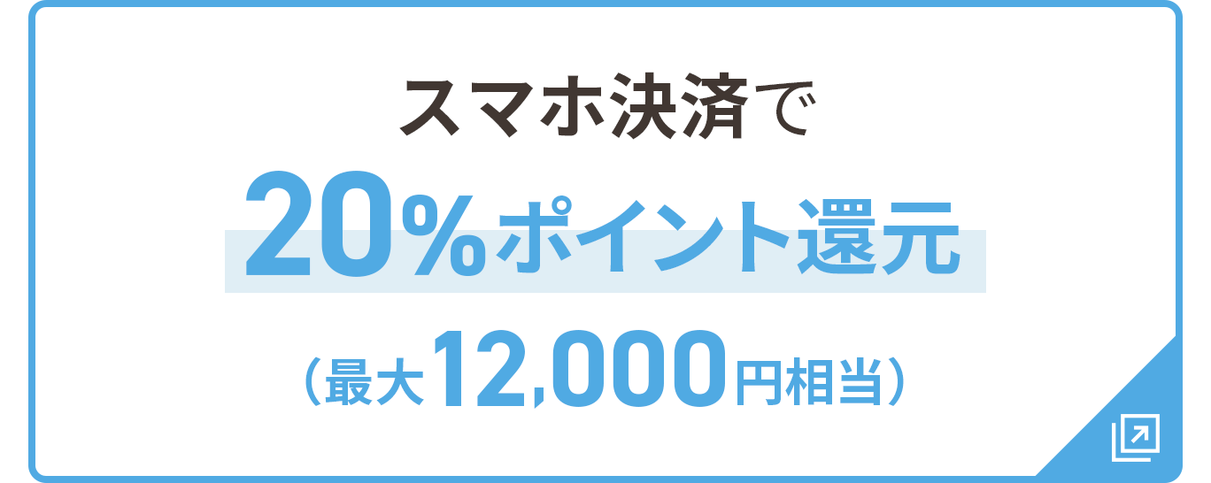 スマホ決済で20％ポイント還元 最大12,000円相当