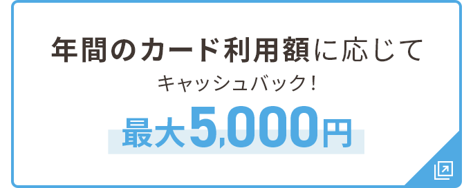 年間のカード利用額に応じてキャッシュバック！最大5,000円