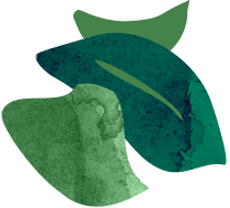Biomass