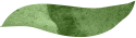 separator