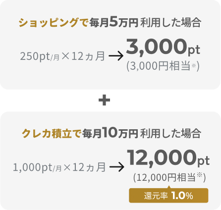 ショッピングで毎月5万円利用した場合 250pt／月×12ヵ月→3,000pt（3,000円相当※） クレカ積立で毎月10万円利用した場合 1,000pt／月×12ヵ月→12,000pt（12,000円相当※）還元率1.0％