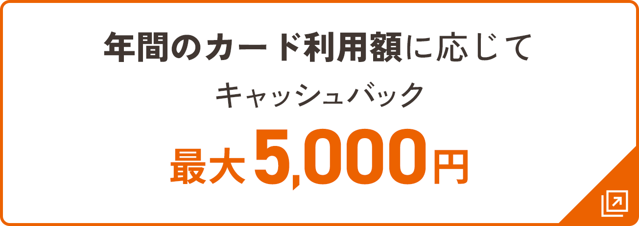 年間のカード利用額に応じてキャッシュバック 最大5,000円相当
