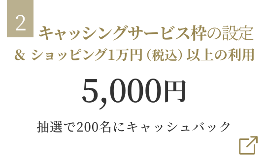 キャッシングサービス枠の設定＆ ショッピング1万円以上の利用 5,000円 抽選で200名にキャッシュバック