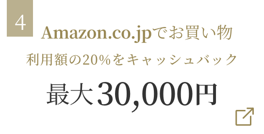 Amazon.co.jpでお買い物 利用額の20%をキャッシュバック 最大30,000円