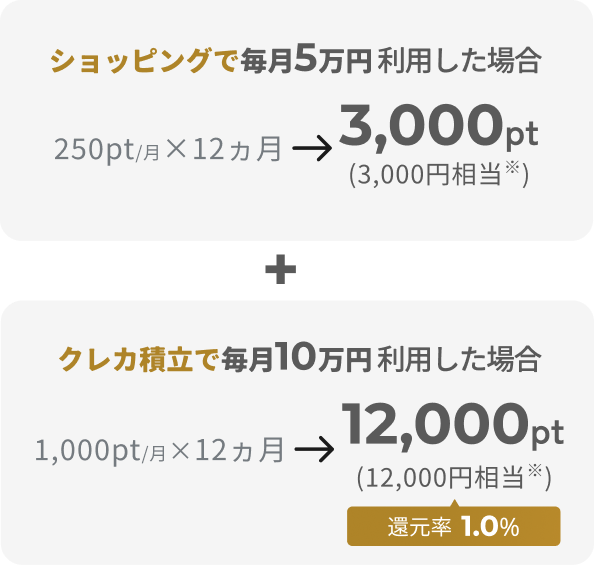 ショッピングで毎月5万円利用した場合 250pt／月×12ヵ月→3,000pt（3,000円相当※） クレカ積立で毎月10万円利用した場合 1,000pt／月×12ヵ月→12,000pt（12,000円相当※）還元率1.0％