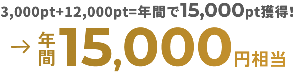 3,000pt+12,000pt＝年間で15,000pt獲得！→年間15,000円相当