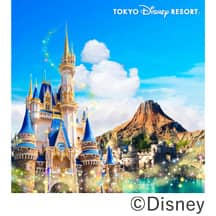 東京ディズニーリゾートパークチケット