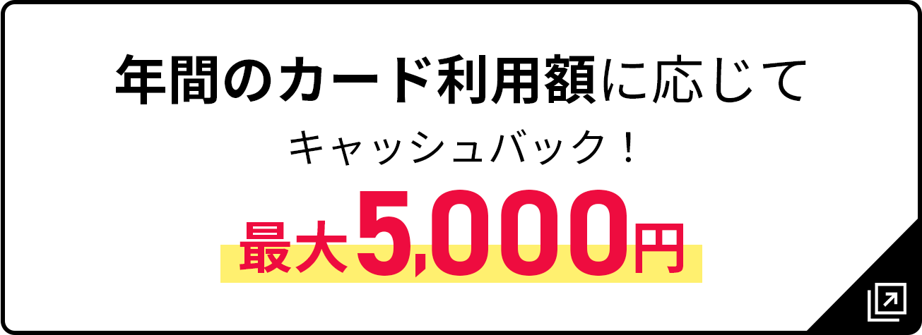 年間のカード利用額に応じてキャッシュバック！最大5,000円