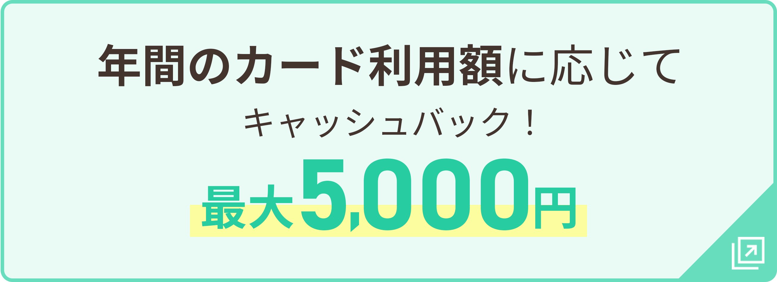 年間のカード利用額に応じてキャッシュバック！最大5,000円