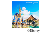 東京ディズニーリゾート&reg;パークチケット（２枚）★