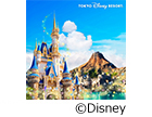 東京ディズニーリゾートパークチケット