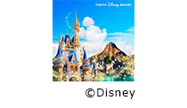 東京ディズニーリゾートパークチケット