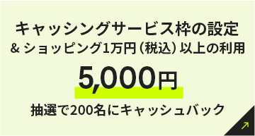 キャッシングサービス枠の設定＆ショッピング1万円（税込）以上の利用5,000円抽選で200名にキャッシュバック