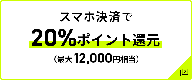 スマホ決済で20％ポイント還元 最大12,000円相当