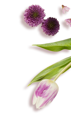 公式 Jcb カード W Plus Lなら年会費永年無料 高還元率 クレジットカードなら Jcbカード