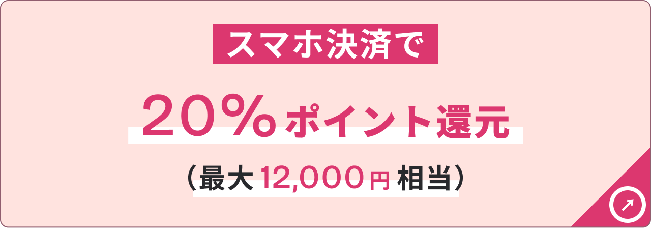 スマホ決済で20%ポイント還元（最大12,000円相当）