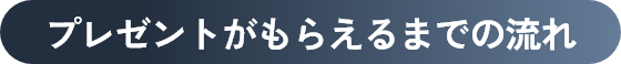 プレゼントがもらえるまでの流れ