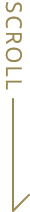 SCROLLL