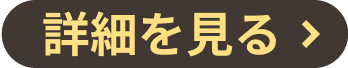 詳細を見る